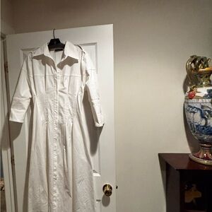 NWOT Zara Fitted dress